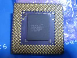 ��������å��ǳ���!